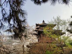 -西安青龙寺遗址景区