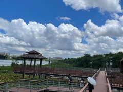 -立新湖公园