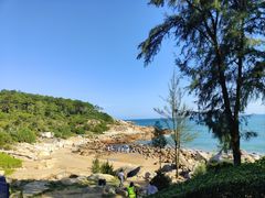 -广东惠东海龟国家级自然保护区