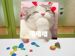 -培飞思维启蒙·益智游戏·科学探索(城西银泰店)