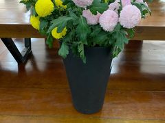 -荷兰花海