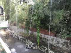 -丽泽山庄·生态怀柔菜·虹鳟鱼(红螺寺店)