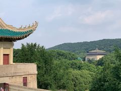 -武汉大学-樱园