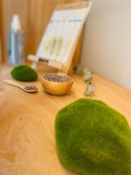 点击看大图 -梵隐SPA
