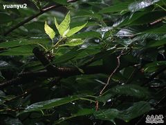 -御花园·粤菜·海鲜火锅(中山公园店)