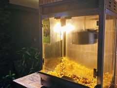 -蓉客成都火锅·招牌麻辣牛杂·特色香辣蹄花(凌水店)