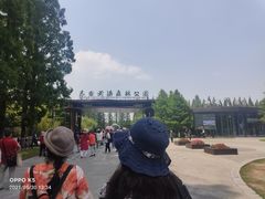 -黄海国家森林公园