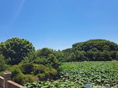 -石湖景区