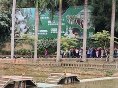 -西双版纳原始森林公园