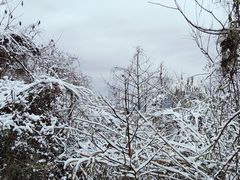 -山王坪喀斯特国家生态公园
