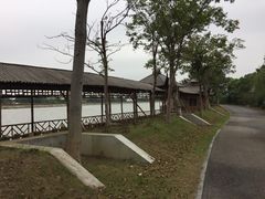 -梁鸿国家湿地公园
