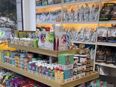 -宠颐生动物医院·猫科·心脏科(海口分院)