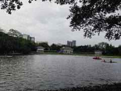 -荔湾湖公园