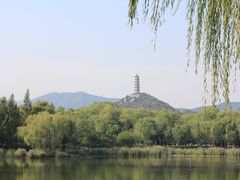 -北坞公园
