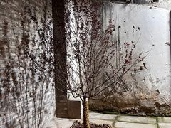 -山城巷传统风貌区