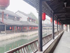 -鲁镇