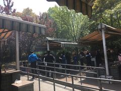 -吴淞炮台湾湿地森林公园烧烤区
