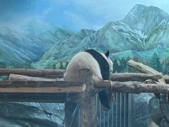 -武汉动物园