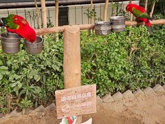 -南宫五洲植物乐园