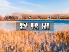 -野鸭湖国家湿地公园