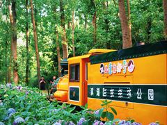 -合肥滨湖国家森林公园
