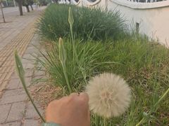 -中粮·祥云小镇