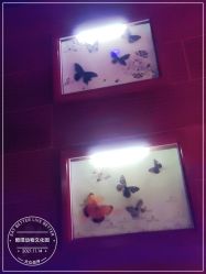 -酷嗒动物文化乐园(cutezoo西溪乐天城店)