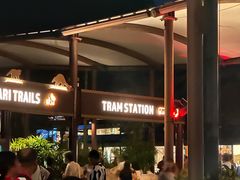 -夜间野生动物园