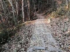 -长兴岛郊野公园农场食堂