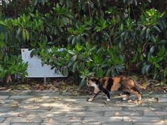 -同济大学(嘉定校区)