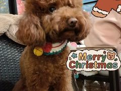 -Shanghai Brew House上海啤酒工坊(老外街店)