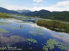 -腾冲北海湿地
