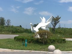 -盐城丹顶鹤湿地生态旅游区