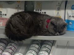 -美美宠物诊疗中心·异宠·骨科(滨江东信分院)