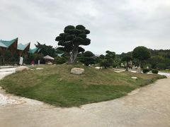 -丹樱生态园