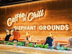 -大象园 ELEPHANT GROUNDS(广州太古汇店)
