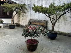 -绍兴鲁迅故里·沈园景区