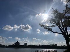 -顺峰山公园