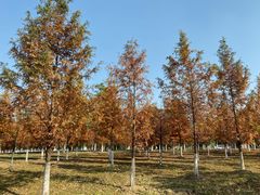 -江南大学(蠡湖校区)