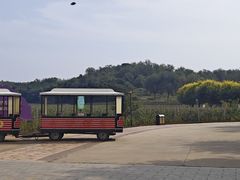 -北京张裕爱斐堡酒庄