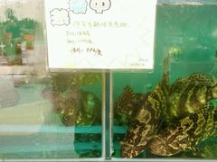 -蚝专家(北滘店)