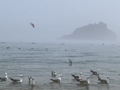 -棒棰岛宾馆景区