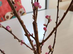 -ライフ(落合南長崎駅前店)