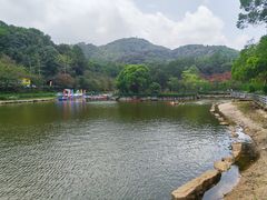 -广州市帽峰山景区