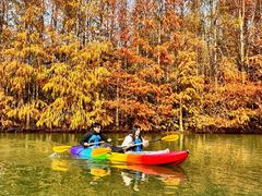 -上海海湾国家森林公园