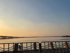 -宝安西湾红树林湿地公园