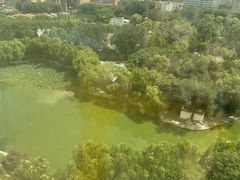 -团结湖公园