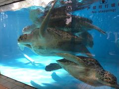 -南宁加勒比水世界