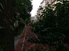 -上海市黄浦区卢湾第一中心小学