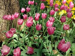 -长春公园(普阳街道)